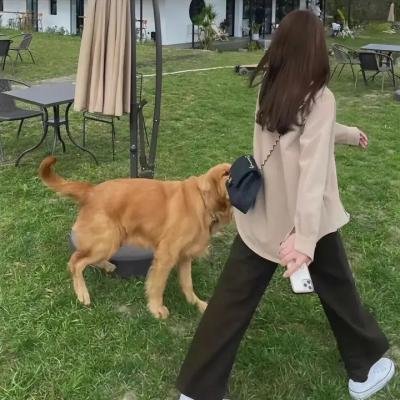 罪犯联盟 第三季